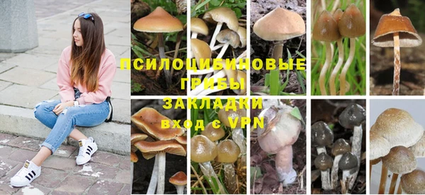 спиды Алексеевка