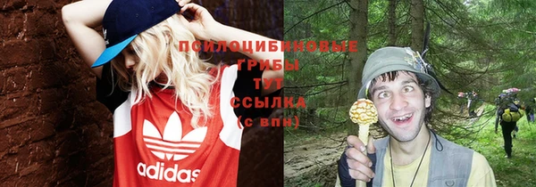 ешки Алзамай